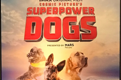 superdog opening